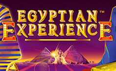 Egyptian Experience
