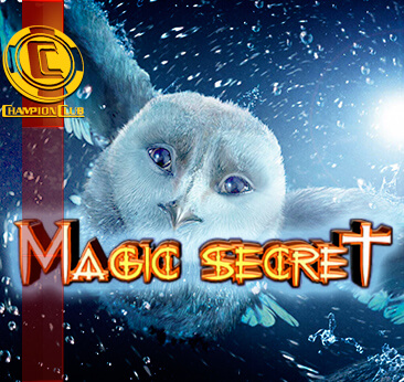 Magic Secret