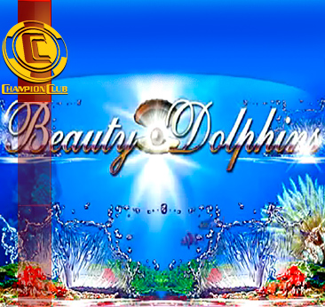 Beauty Dolphins
