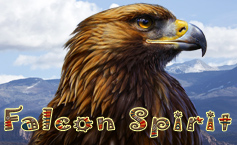 Falcon Spirit
